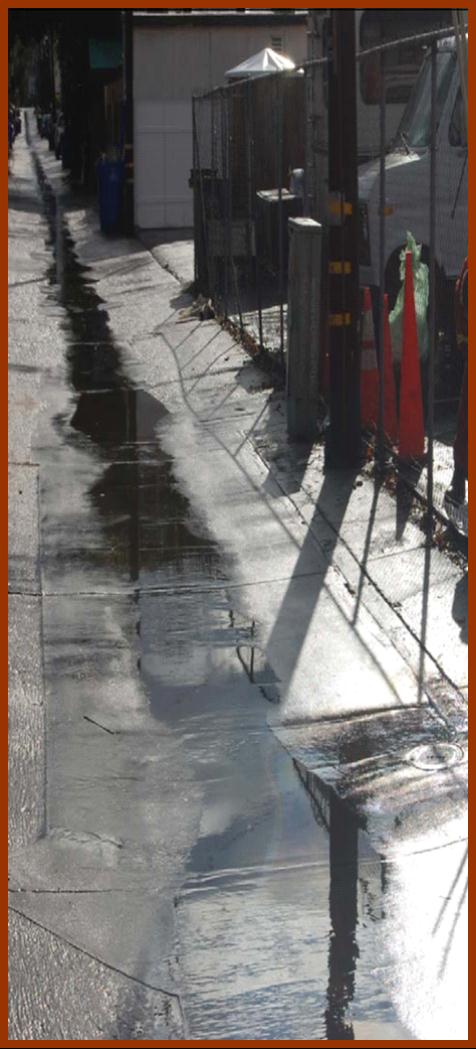 Derramándose por la calle hasta el drenaje pluvial Violaciones: Reglamentos de desagües pluviales Disposición ilegal de residuos