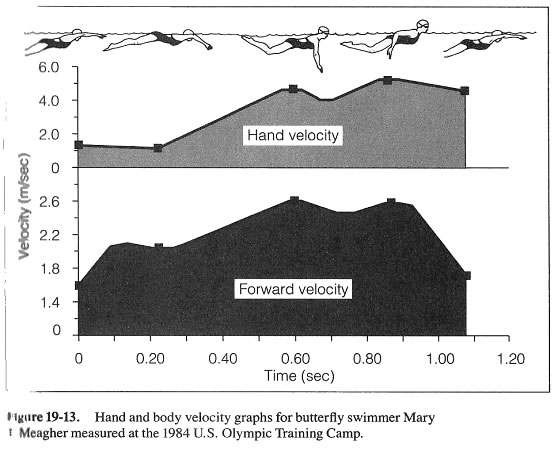 17 muestran algunas de dichas gráficas extraídas del libro Swimming even faster de E. Maglischo (1993). Figura 14.