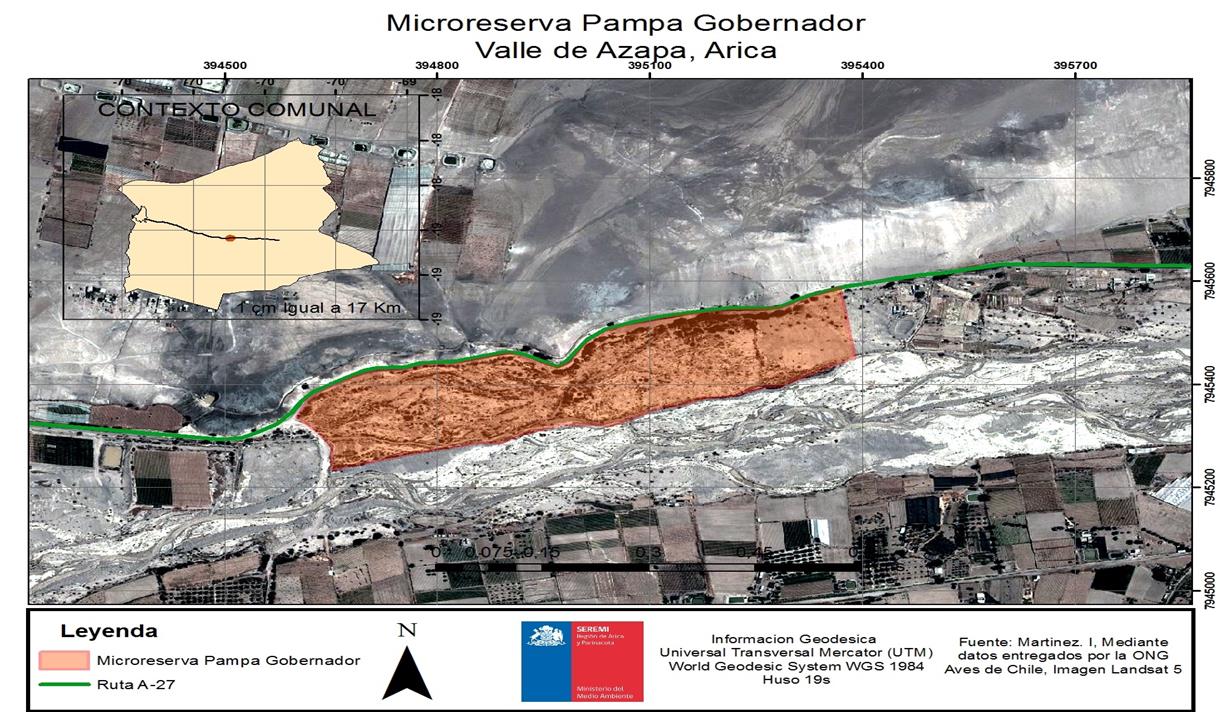 Pampa Gobernador (Azapa): sitio gestionado, aun no se realizan acciones de conservación Hay que mencionar que año a año la SEREMI del Medio Ambiente realiza un monitoreo de las poblaciones de