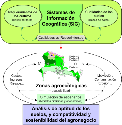 OTROS COMPONENTES DEL PROGRAMA Análisis de competitividad de negocios en cuencas
