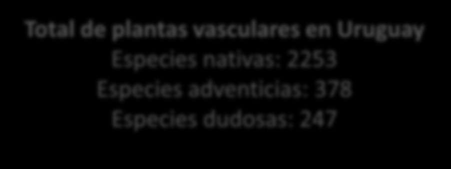 ANGIOSPERMAS Especies indígenas: 2152 Especies adventicias: 377 Especies dudosas: 233 Géneros indígenas: 723 Familias indígenas: 150 GYMNOSPERMAE