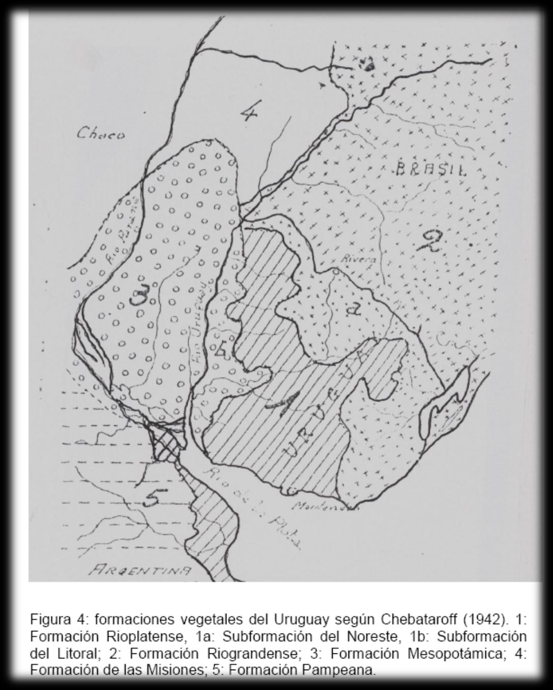 Clasificación Fitogeográfica Uruguay: Provincia Pampeana Formaciones Vegetales en Uruguay Chebataroff (1942) 1. Formación Rioplatense 1.a. Subformación del Noreste 1.