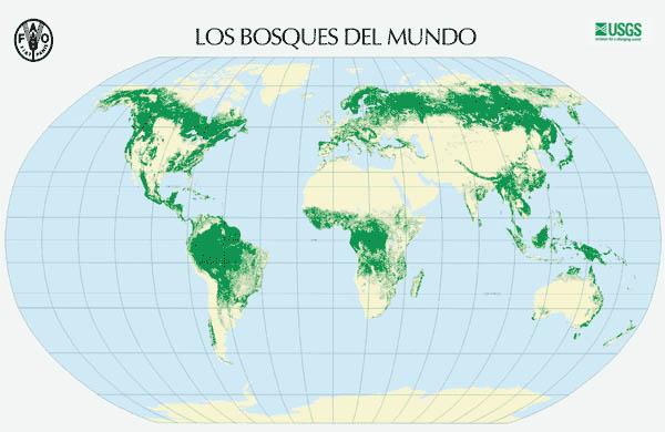 Los ecosistemas boscosos del mundo Ecuador Trópico de Capricornio Como varía la presencia de