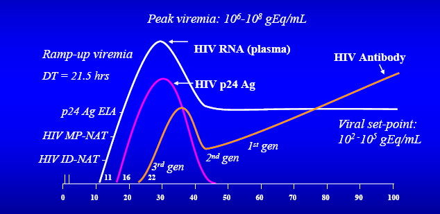 MARCADORES DE HIV Comportamiento intermedio entre HCV y HBV Período de ventana de antígenos cercana