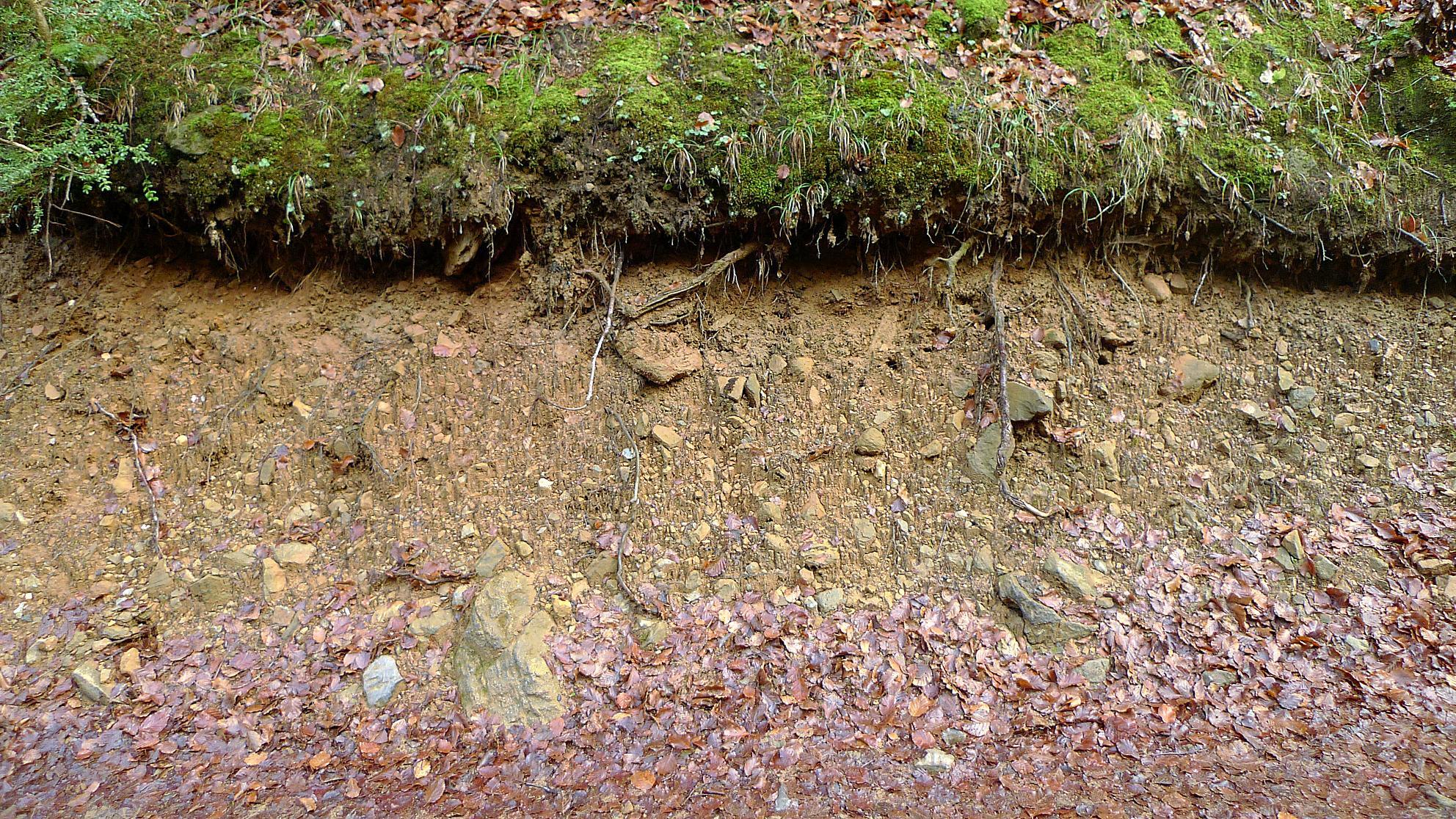 Una muestra de suelo promedio consiste de 45% minerales, 25% agua, 25% aire y 5%