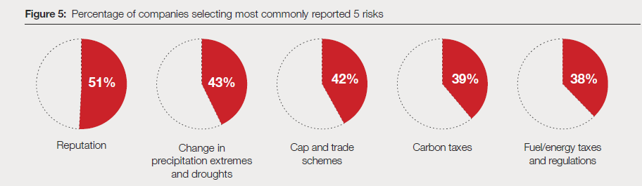 +5 riesgos más reportados por las G500 Source: CDP / Sector Insights: what is driving
