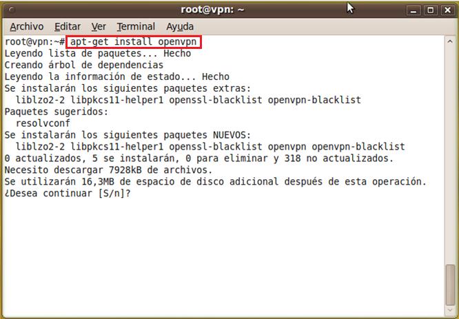 La herramienta que vamos a utilizar es OpenVPN en Linux Ubuntu 10.