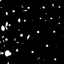 Figura 2.2: A la izquierda se observa la imagen con los centroides de los spots encontrados sin aplicar ningún criterio más que el nivel de gris. A la derecha aparece la imagen binarizada. 2.1.