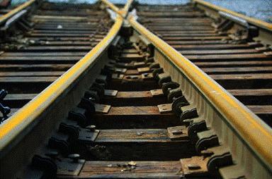 Siguientes Pasos Difusión Consolidar y promover resultados del Foro Ferroviario Detonar líneas de acción entre los sectores involucrados Integrar equipos de trabajo Prioritización Establecer