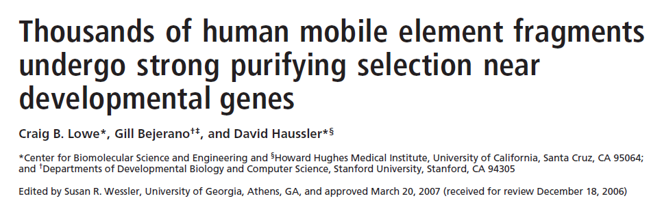 5.-En humanos Analisis comparativos de genomas de mamíferos: - Al menos 5% del genoma humano bajo selección purificadora. -Exones son regiones conservadas más estudiadas(son 1/3 de todo el 5%).