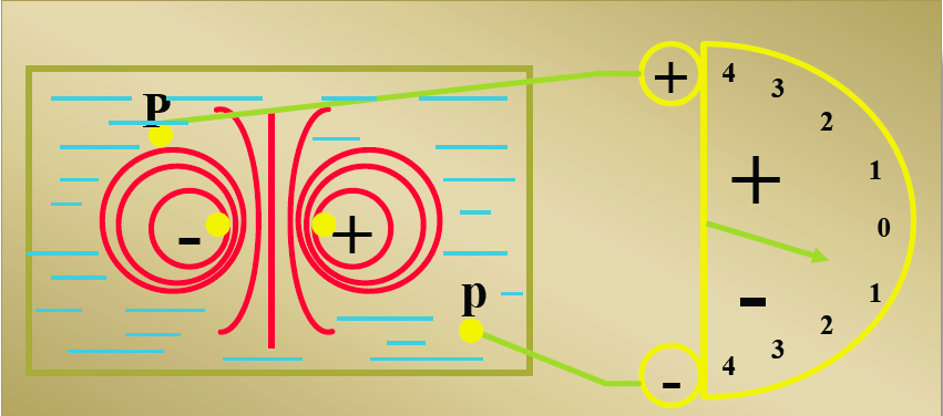 Fig. No. 3. Campos de fuerza y electrodo explorador cerca del polo positivo. Note que la aguja del galvanómetro se dirige hacia arriba (inscribe una deflección positiva). Fig. No. 4.