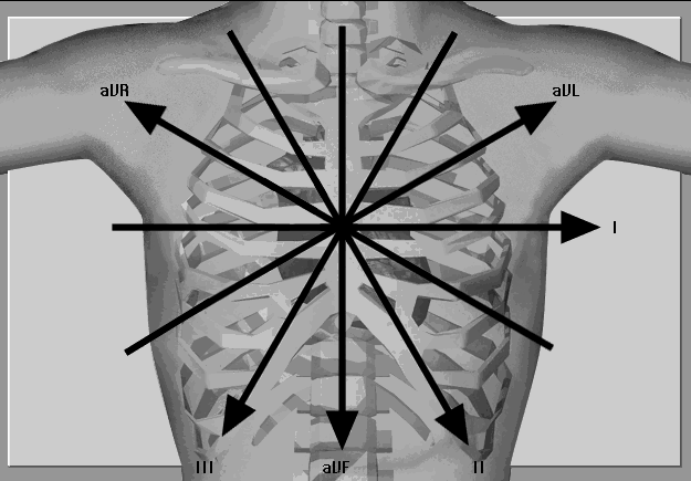 Figura No. 57. Sistema hexoaxial localizado sobre el tórax con el punto central que coincide con el centro eléctrico del corazón.