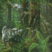 Paleoceno (65-54) En el Paleoceno, hace unos 60 millones de años, el mundo se parecía más al actual. Sin embargo, América del Norte continuaba conectada por tierra con Asia.