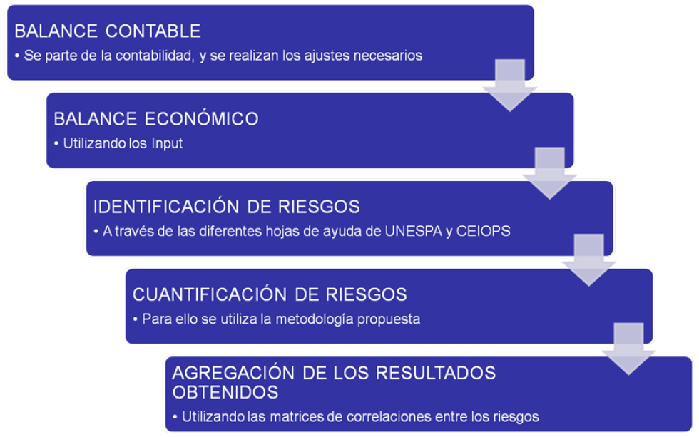 Alcance del proceso de cálculo Riesgo Crédito Riesgo Actuarial Riesgo Mercado Riesgo ALM Riesgo Operacional Riesgo