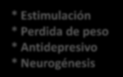 DIANAS MOLECULARES DE LOS ANTIEPILÉPTICOS Na+ IAC Na+ Carbamazepina Asp Asp Glu