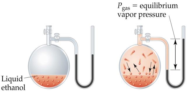 La presión de vapor está relacionada directamente con la magnitud de las fuerzas intermoleculares que hay en el líquido.