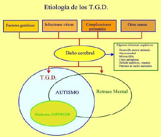 Causas T.G.D. (Etiología). Tal como se describe en la gráfico anterior las causas de los T.G.D. son variadas.