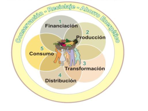 Circuito económico agroalimentario con enfoque ecológico y solidario El modelo involucra 5 eslabones interrelacionados que conforman la cadena de valor del producto rural