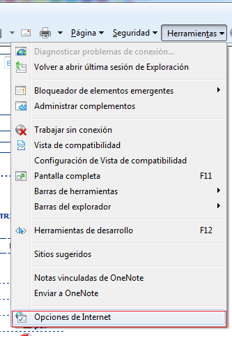 Limpiar Archivos Temporales Internet Explorer 8, 9 y 11 Muestra las siguientes opciones de