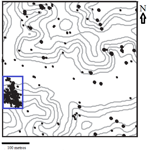 58 8. FIGURAS Figura 1. Distribución de Cecropia sciadophylla en la Parcela Permanente dentro de la Estación Científica Yasuní. Los puntos negros indican la ubicación de cada árbol de C. sciadophylla. El recuadro azul delimita el área de bosque intervenido donde se establecieron 3 transectos de 100x10 metros.