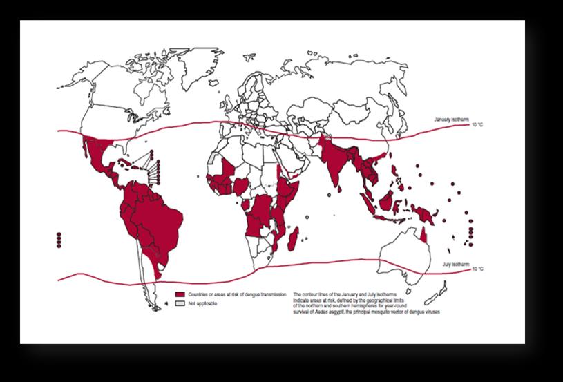 DEN,CHK,ZK: DEFINICIÓN DEL PROBLEMA DE SALUD PÚBLICA Dengue es una de les arbovirosis más frecuentes en el mundo 2015: Continente Americano >500.000 casos confirmados.