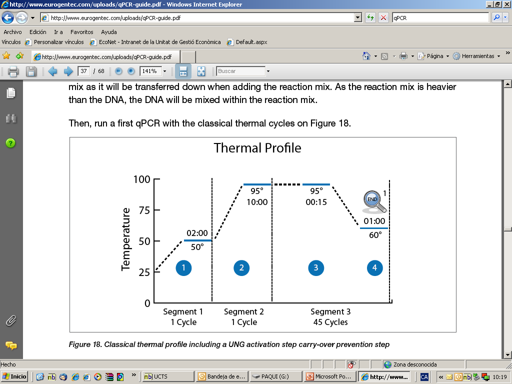 Perfil térmico clásico qpcr Perfil térmico que incluye paso de Activación UNG 1.- Activación UNG 2.