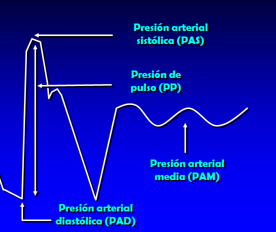 Presión Arterial Presión pulsátil: presión