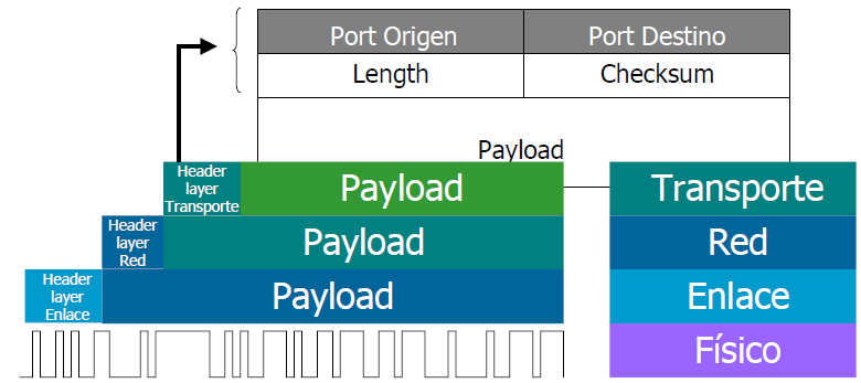 Capa 4 Protocolo UDP El port Origen es un campo opcional, ya que no se