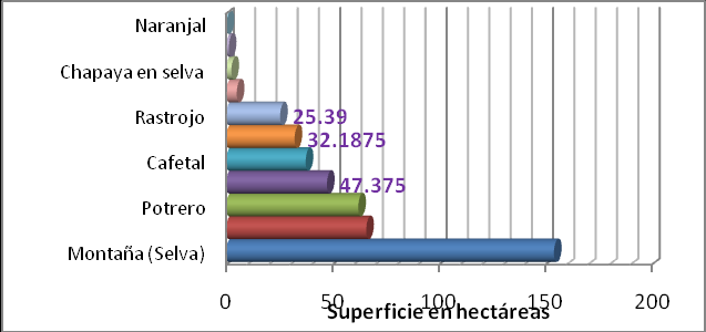 Figura 4. Superficies de usos actuales en el ejido Tierra Nueva, Ocozocoautla, Chiapas.