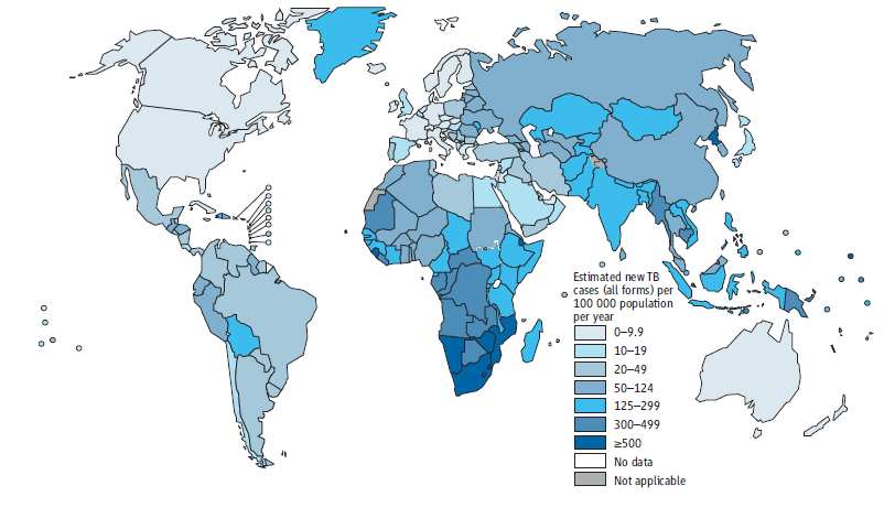 PRO-R02.014 Versión 01 2014 Abr 14 Página 3 de 35 Mapa1. Tasas de Incidencia estimadas a Nivel Mundial año 2012 Fuente: World Health Organization.