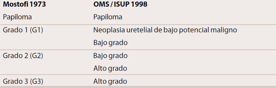Grado histológico En 1998, la Organización Mundial de la Salud y la Sociedad Internacional de Patología Urológica (OMS / ISUP) propusieron una nueva clasificación del grado histológico, con el