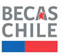 Política de Innovación 2010-2014 Capital Humano y Entorno Formación de Talento Más becas y mejores programas de postgrado en Chile. Más de 3.
