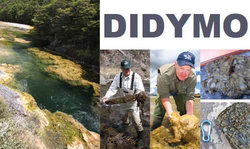 Anexos El dídimo (Didymosphenia geminata), es un alga invasora que afecta la industria del turismo, ya que perturba visualmente el paisaje, cubre los lechos de los cursos de aguas e interfiere en el