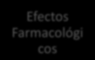 2.1 Interacciones Farmacodinámicas Receptor