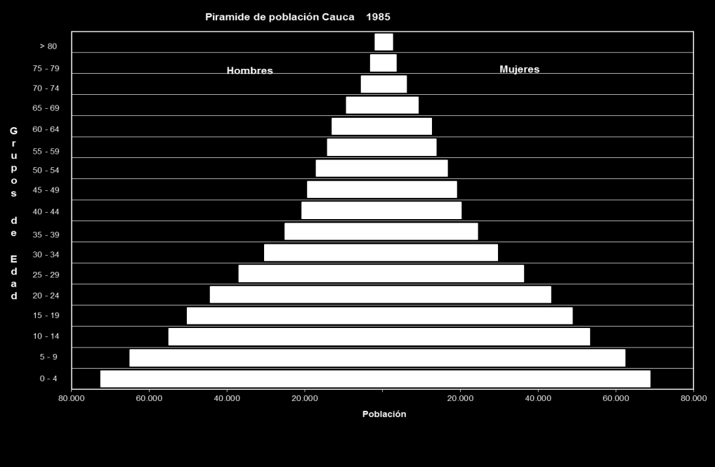 Aunque conserva algunas características de una pirámide de población de características de población joven, con una base ancha y un vértice relativamente estrecho, se encuentra que los grupos de