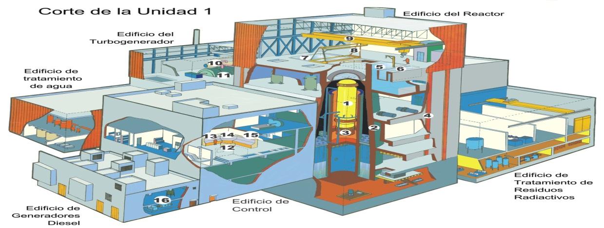 2.2.4 Contención Primaria La contención primaria, localizada dentro del edificio del reactor, es de forma cilíndrico-cónica; está construida en concreto fuertemente armado con varillas de 5.