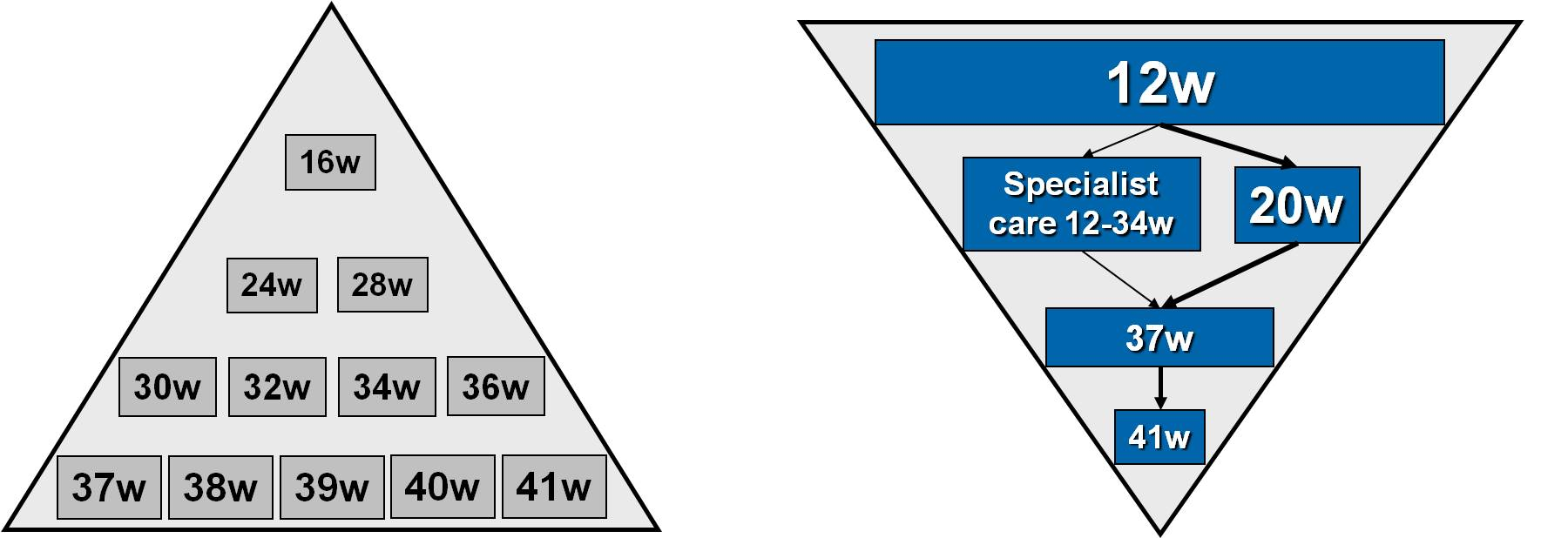Pirámide de cuidado