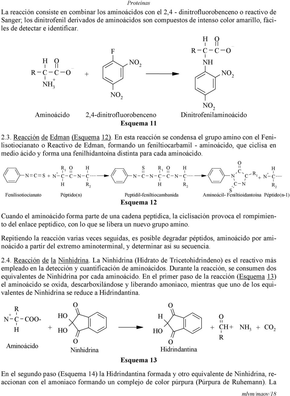 En esta reacción se condensa el grupo amino con el Fenilisotiocianato o Reactivo de Edman, formando un feniltiocarbamil - aminoácido, que ciclisa en medio ácido y forma una fenilhidantoína distinta