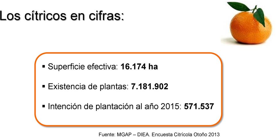 902 Intención de plantación al año 2015: 571.