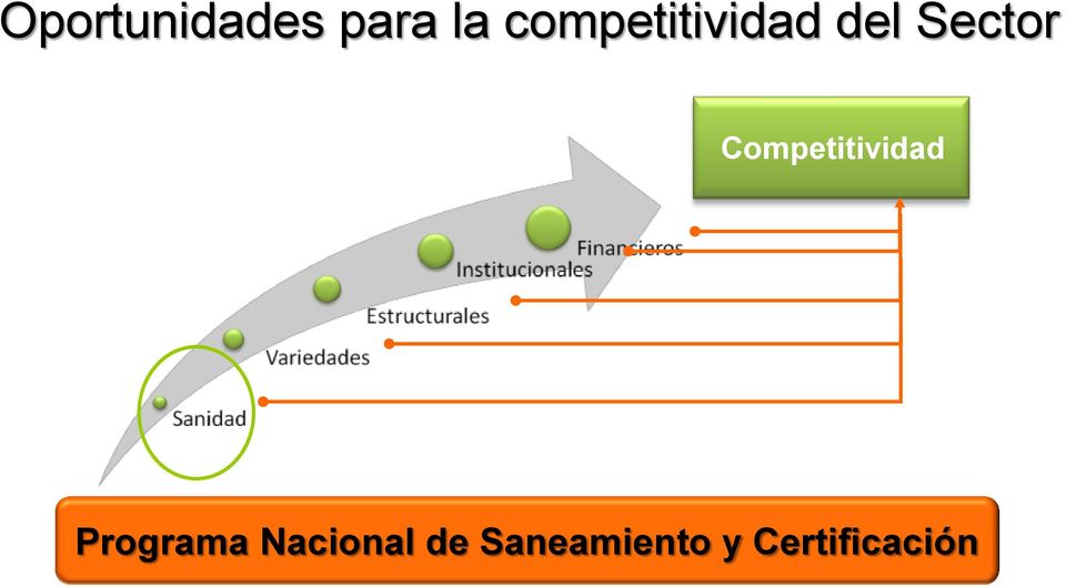 Sector Competitividad Programa