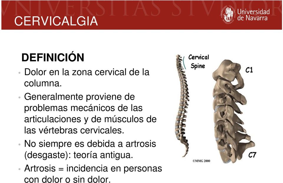 músculos de las vértebras cervicales.