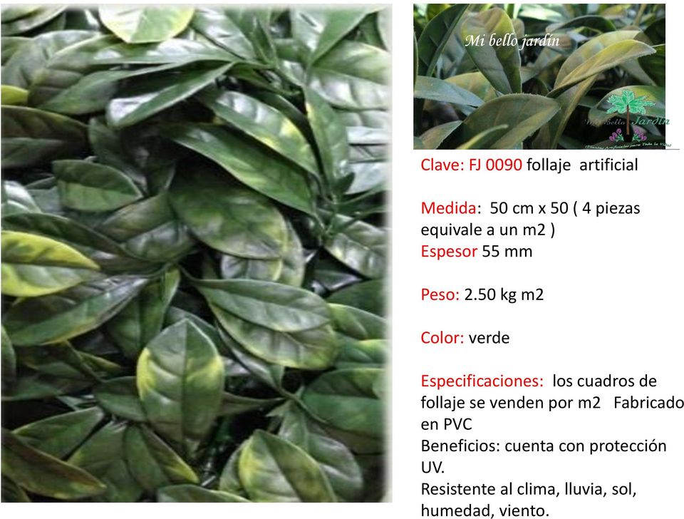 50 kg m2 Color: verde Especificaciones: los cuadros de follaje se venden