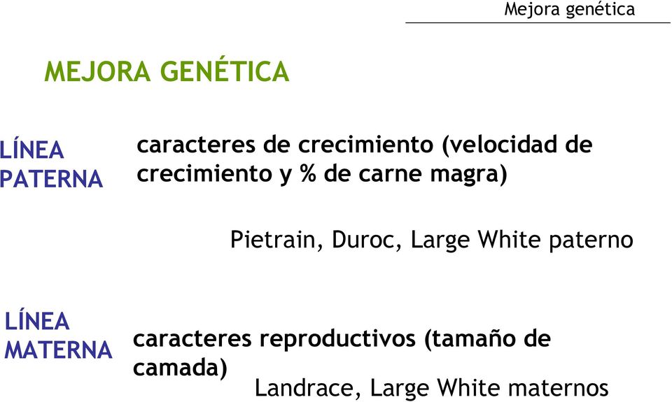 Duroc, Large White paterno LÍNEA MATERNA caracteres