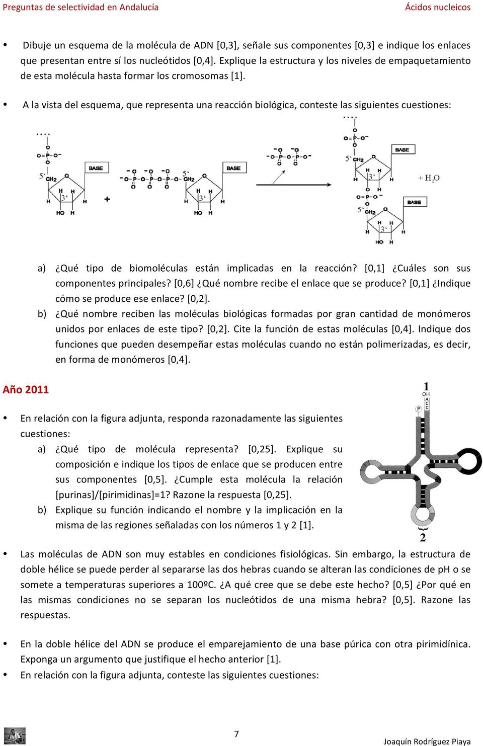 A la vista del esquema, que representa una reacción biológica, conteste las siguientes cuestiones: a) Qué tipo de biomoléculas están implicadas en la reacción?