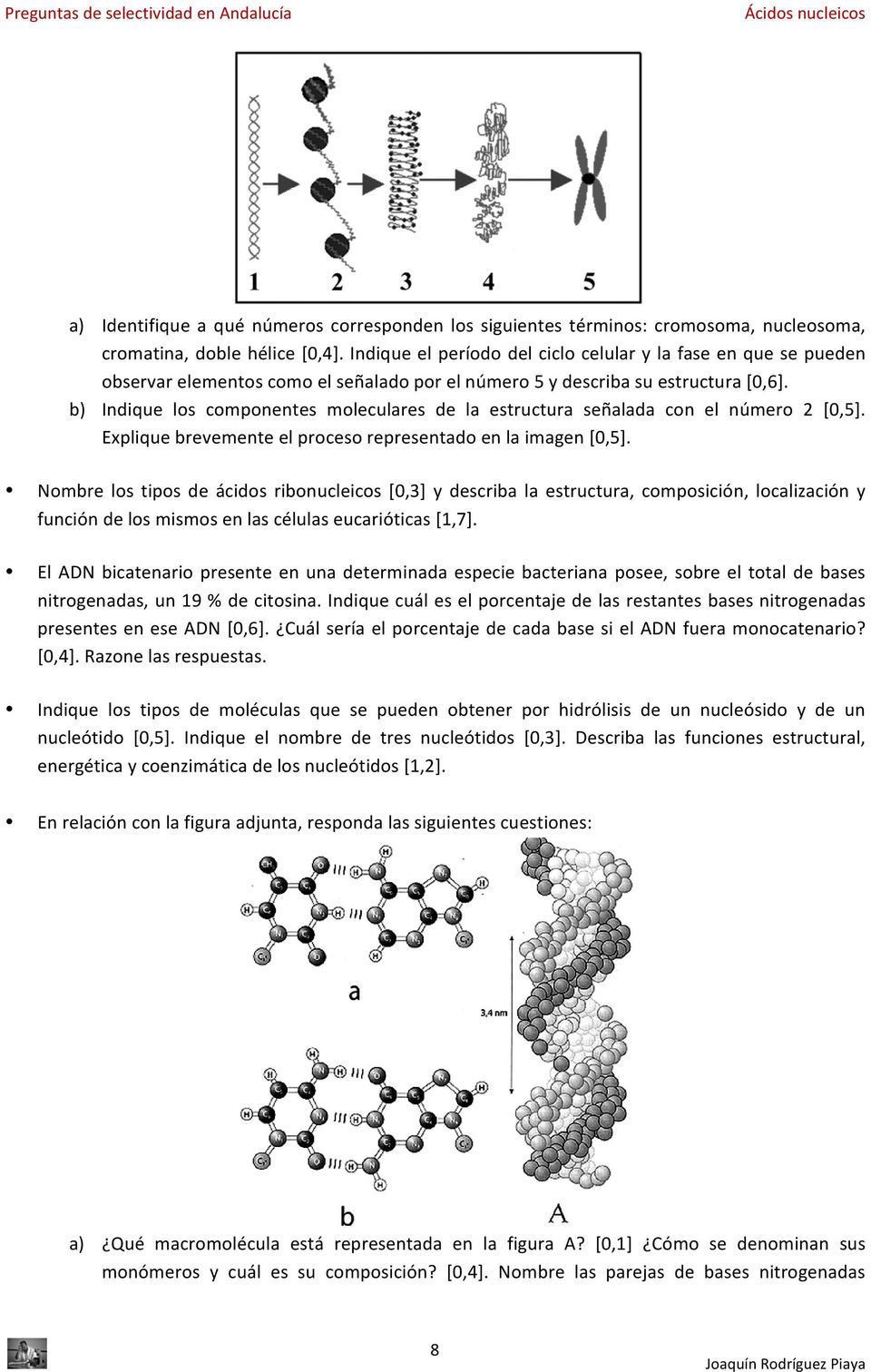 b) Indique los componentes moleculares de la estructura señalada con el número 2 [0,5]. Explique brevemente el proceso representado en la imagen [0,5].