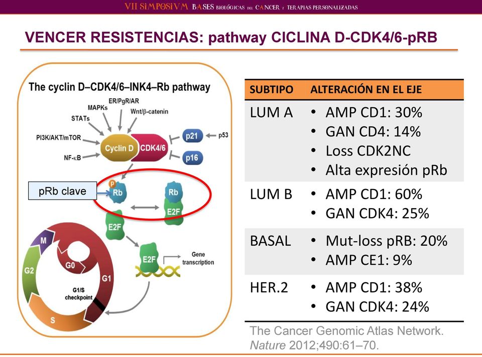 expresión prb LUM B AMP CD1: 60% GAN CDK4: 25% BASAL Mut-loss prb: 20% AMP