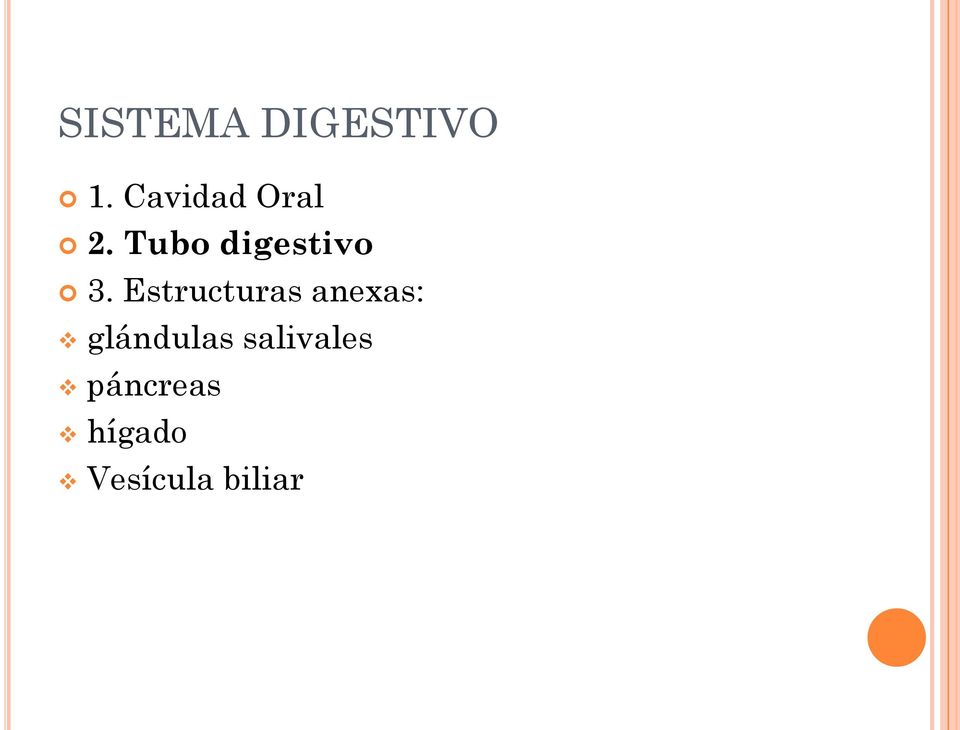 Tubo digestivo 3.