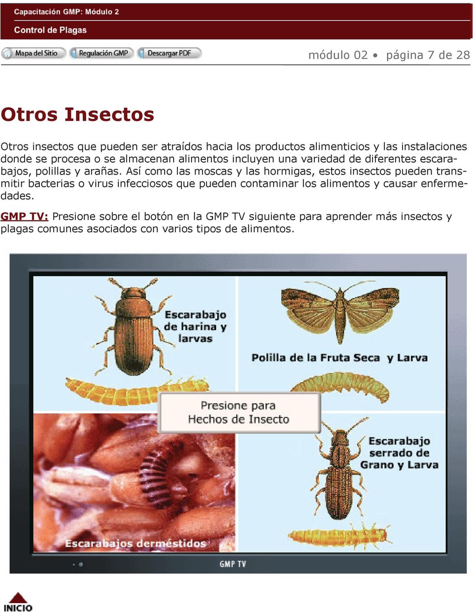 Así como las moscas y las hormigas, estos insectos pueden transmitir bacterias o virus infecciosos que pueden contaminar los alimentos