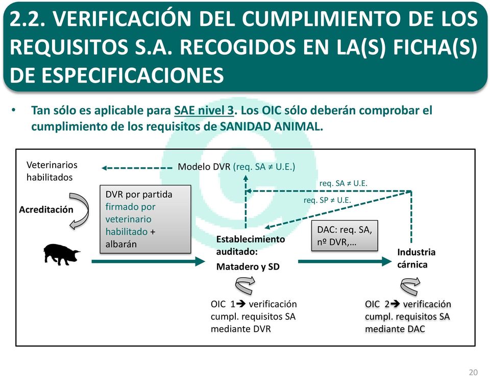 Veterinarios habilitados Acreditación DVR por partida firmado por veterinario habilitado + albarán Modelo DVR (req. SA U.E.