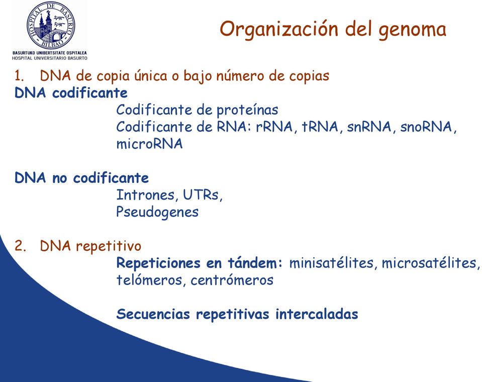 Codificante de RNA: rrna, trna, snrna, snorna, microrna DNA no codificante Intrones,